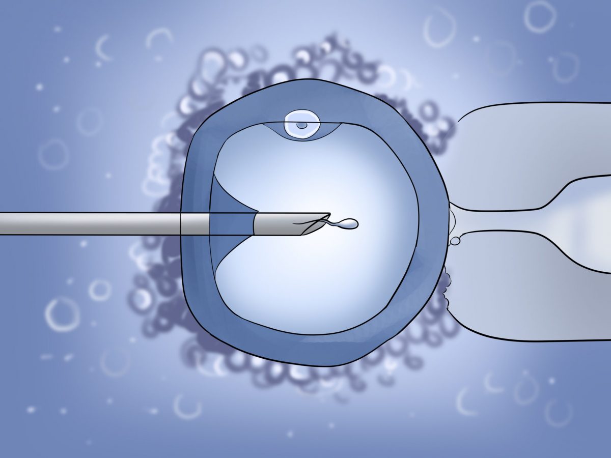 Perform-an-Intracytoplasmic-Sperm-Injection-Icsi-Step-8